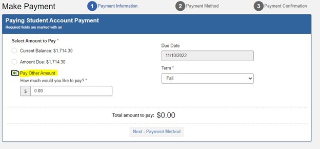 This screenshot shows how to submit a payment for a specific amount.