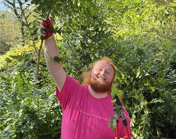 Residential employee trimming overgrown trees