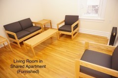 Furniture- Living Room