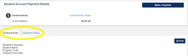 Screenshot of SSOL Billing Portal